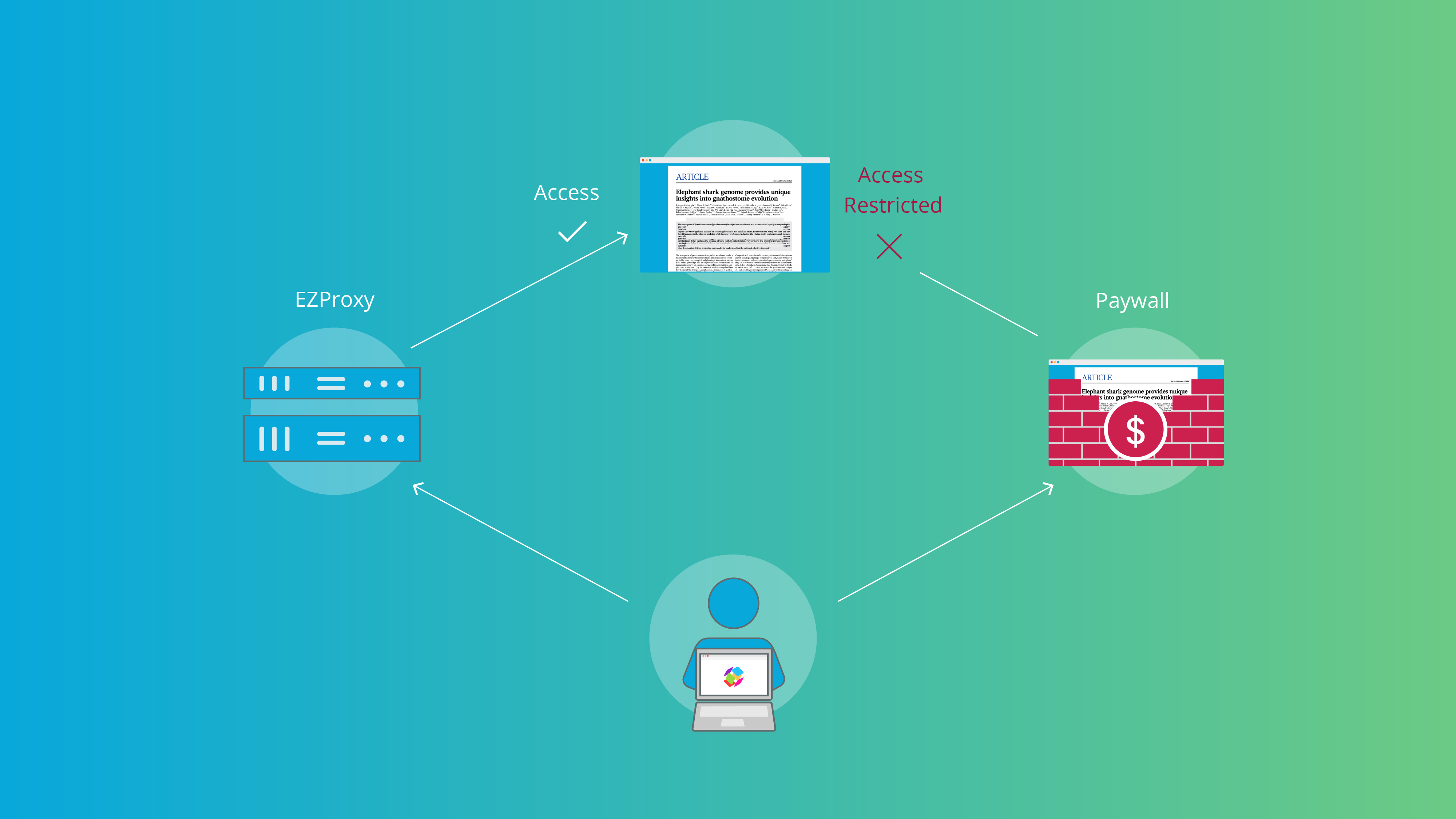 Proxy Access Image