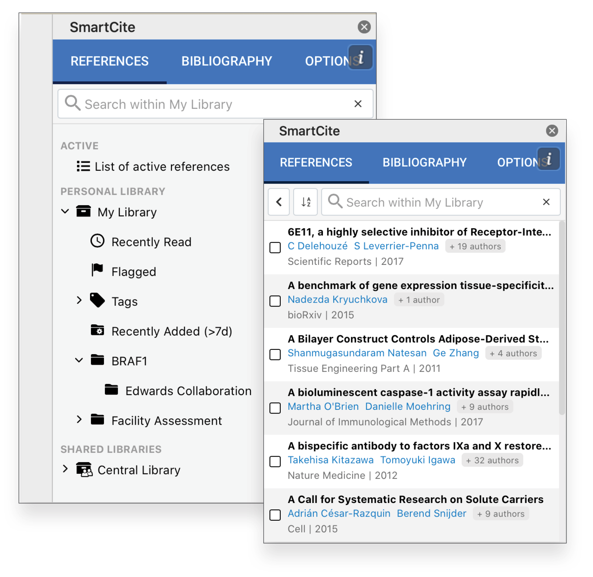 microsoft word endnote export references